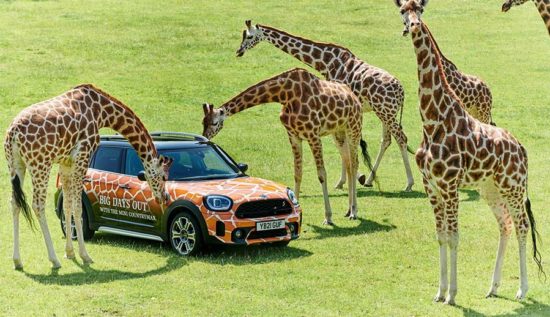 Stay in a Luxury Cottage at Longleat Safari Park
