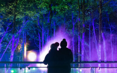 Trip for Two to The Enchanted Forest