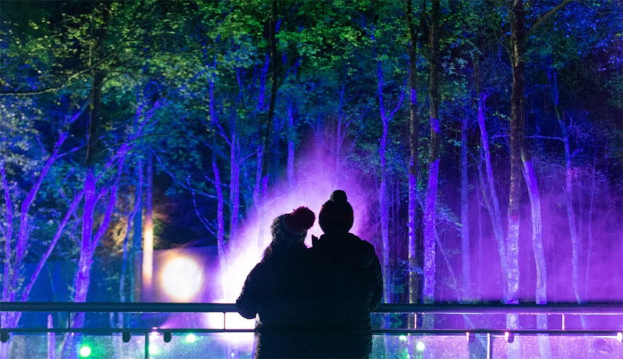 Trip for Two to The Enchanted Forest