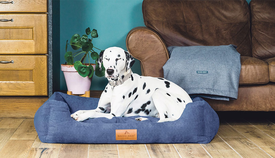 Luxury Dog Bed