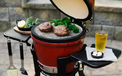 The Ultimate Grilling Machine