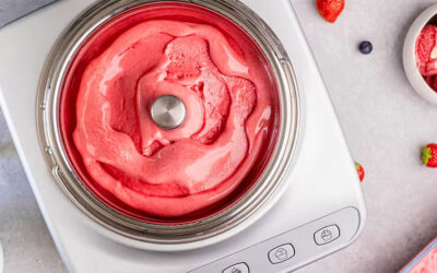 Magimix Gelato Expert