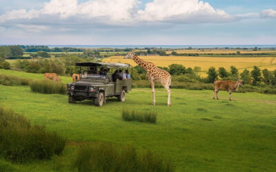 £1,500 Safari Getaway at Port Lympne