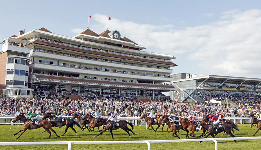 Newbury Racecourse Ticket Bundle