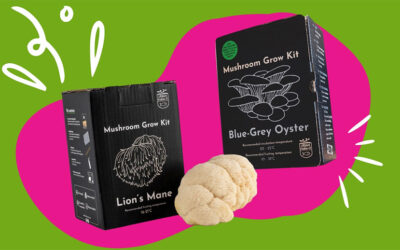 Grow Your Own Lion’s Mane Kit