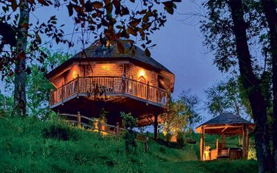 £730 Treehouse Stay