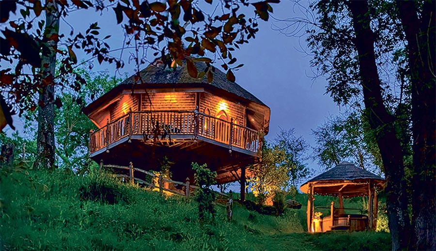 £730 Treehouse Stay