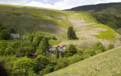 Autumn Stay of Your Choice