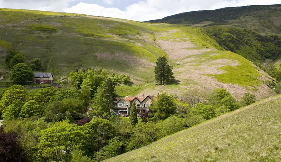 Autumn Stay of Your Choice