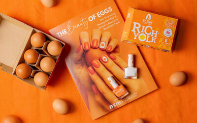 Year’s Supply of St. Ewe Free Range Eggs