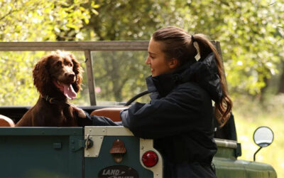 £700 Voucher To Spend With Harry Hall