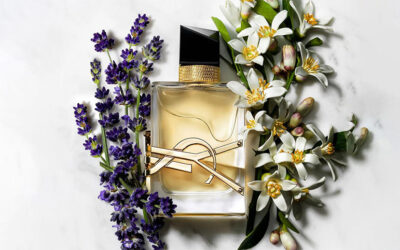 Yves Saint Laurent Libre