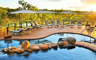 Five-Night Safari Escape