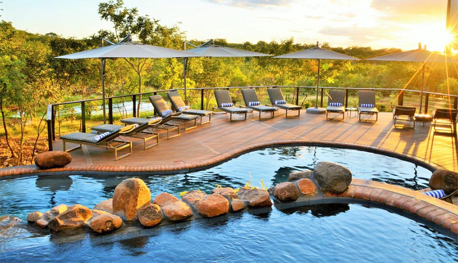 Five-Night Safari Escape