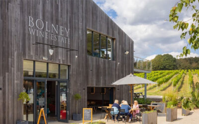 Bolney Experience Tour and Tasting