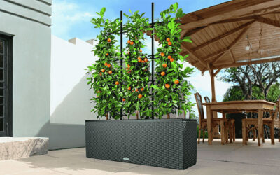 Self-Watering Planter