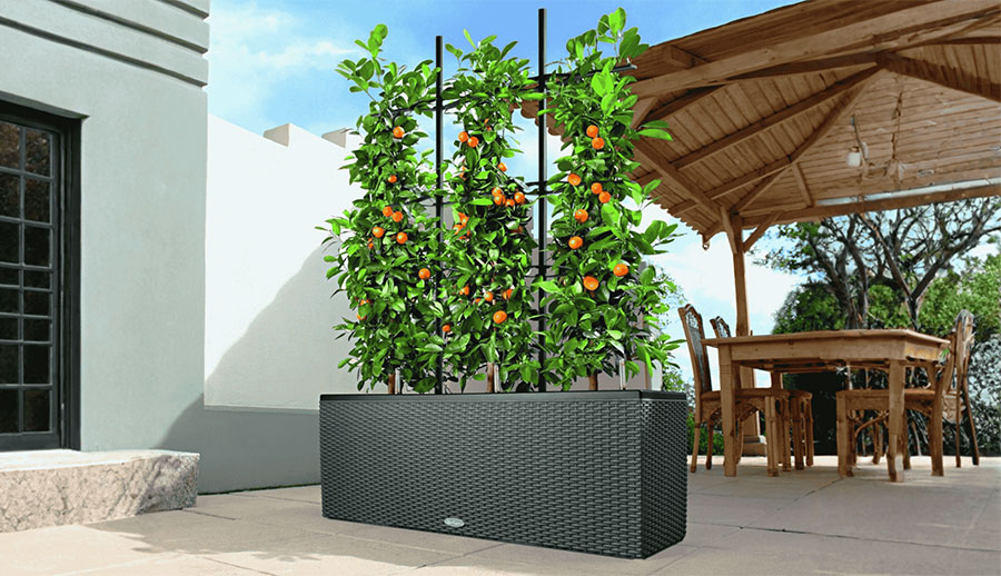 Self-Watering Planter