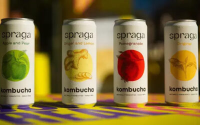 Case of Spraga Kombucha