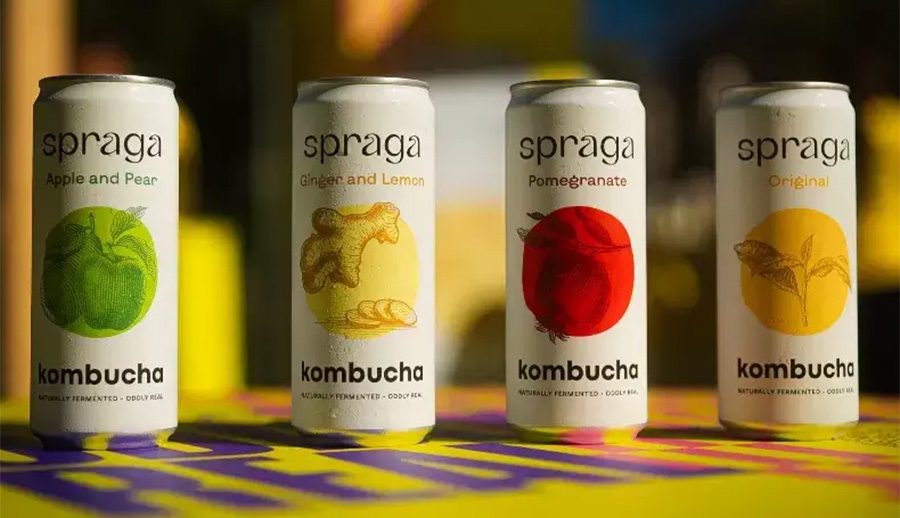 Case of Spraga Kombucha