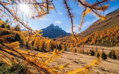 Two-Night Stay in Bormio this Autumn