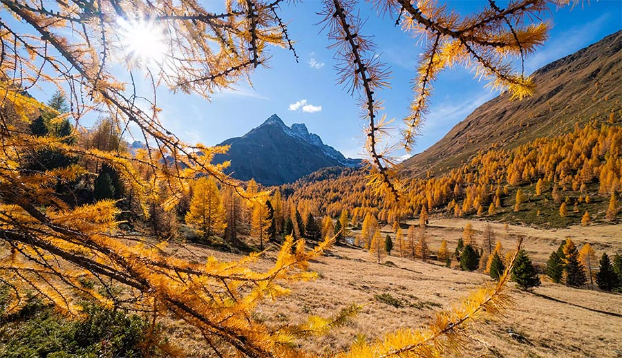 Two-Night Stay in Bormio this Autumn