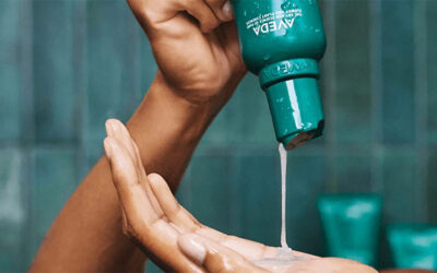 Shine & Strength Haircare Bundle From Aveda