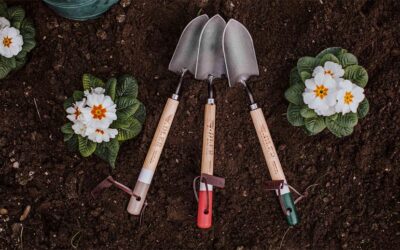 Garden Tools Bundle