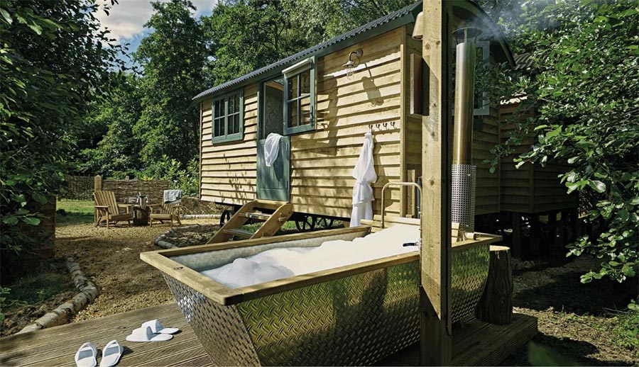 Stay At The Fish Hotel