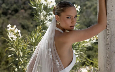 Dream Wedding Dress