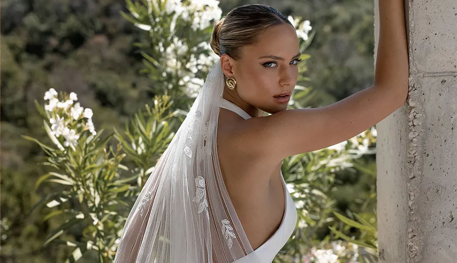 Dream Wedding Dress