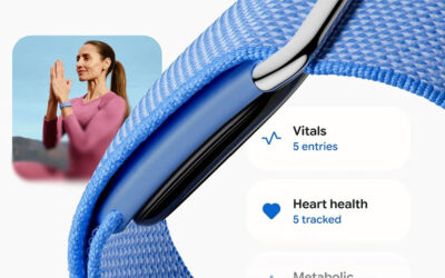 Google Fitbit Air