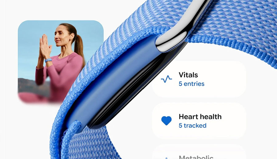 Google Fitbit Air