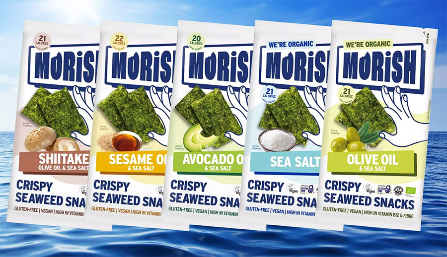 Crispy Seaweed Snack Bundle