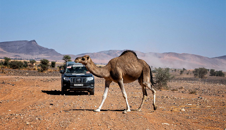 Off-Road Adventure Through Morocco
