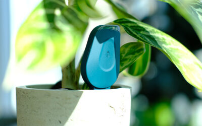 SmartyPlants Houseplants Sensors