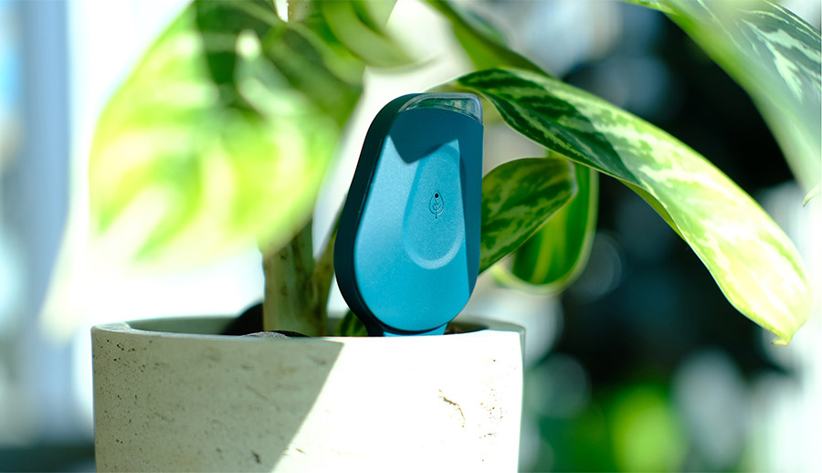 SmartyPlants Houseplants Sensors