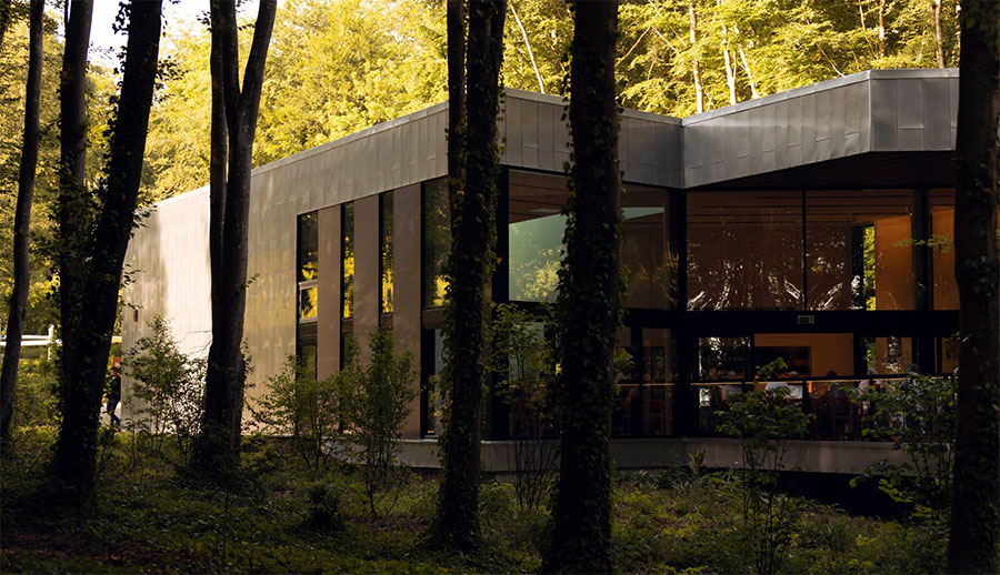 Sussex Art & Wine Escape