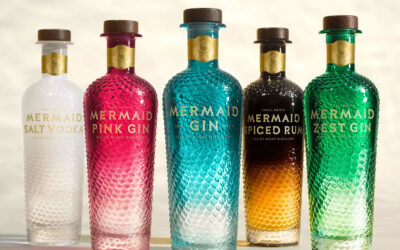 Hosting Bundle from Mermaid
