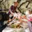 Win a Fabulous Picnic Hamper