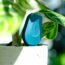 Win SmartyPlants Houseplants Sensors