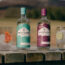 Win Eight Lands Organic Speyside Gin and Vodka